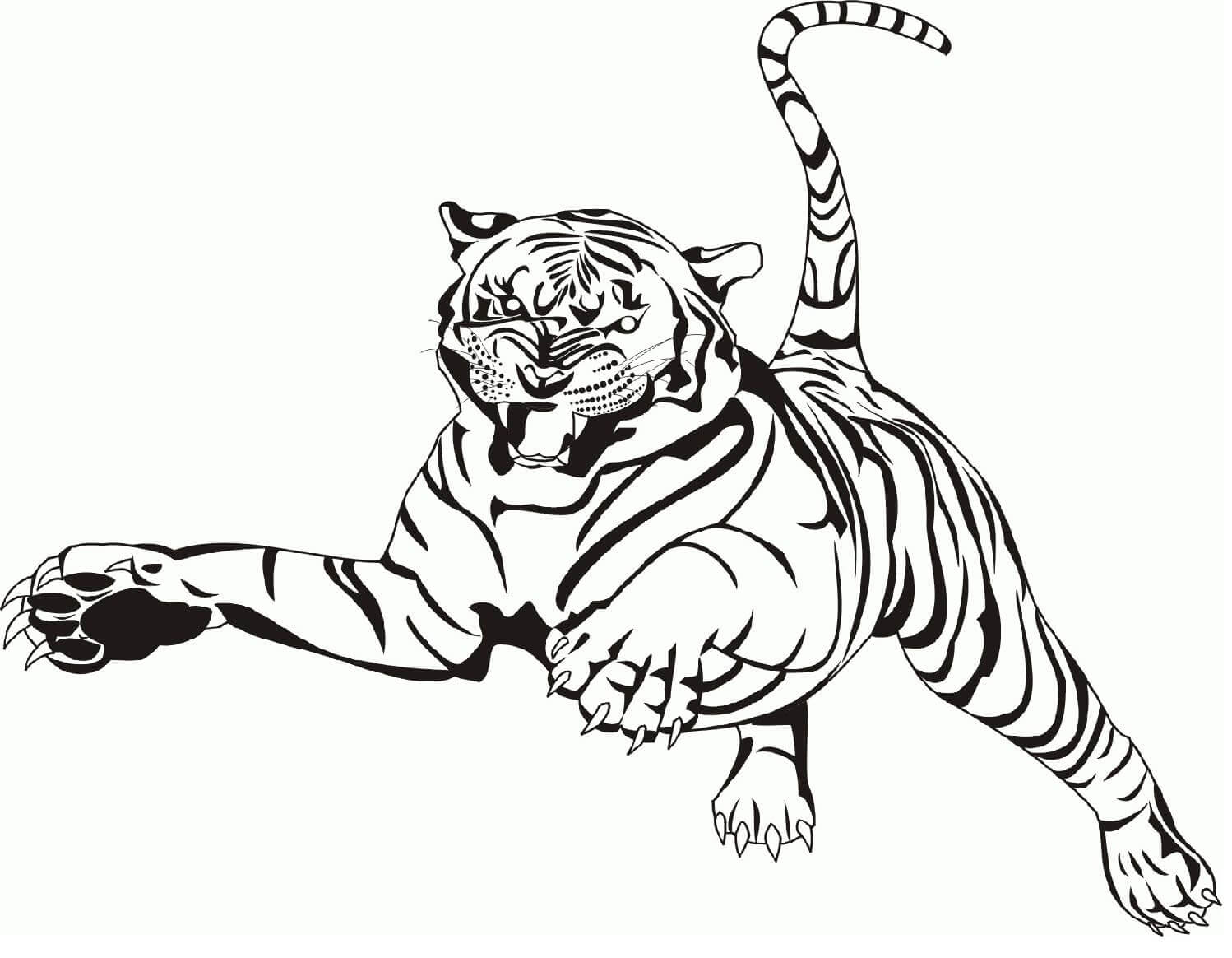 Desenho de Tigre para imprimir