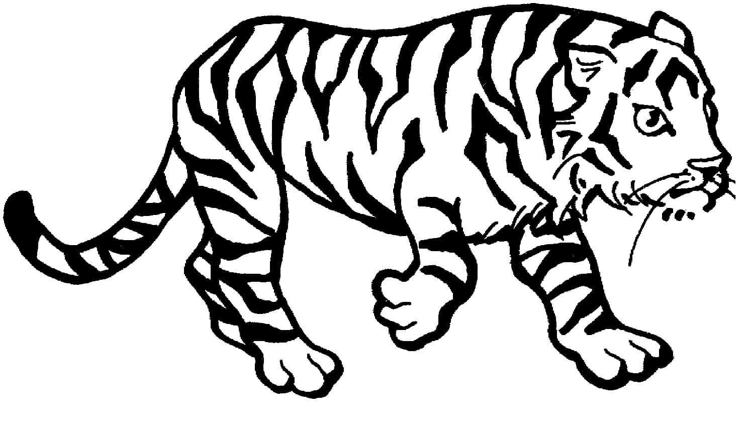 Desenho de Tigre para imprimir