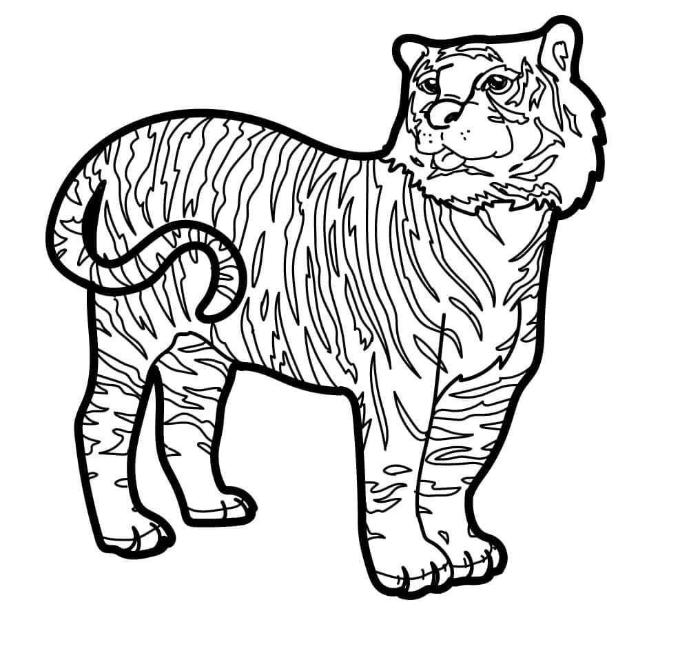 Desenho de Tigre para imprimir