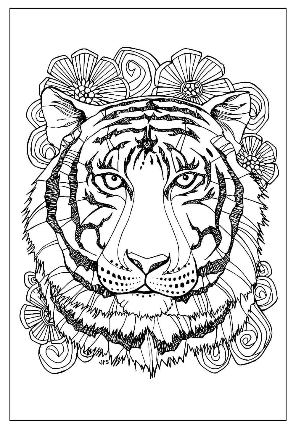 Desenho de Tigre para imprimir