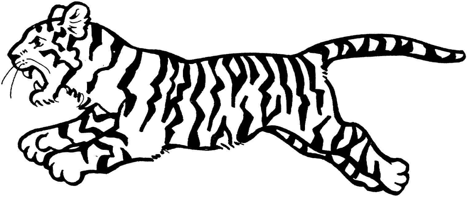 Desenho de Tigre para imprimir