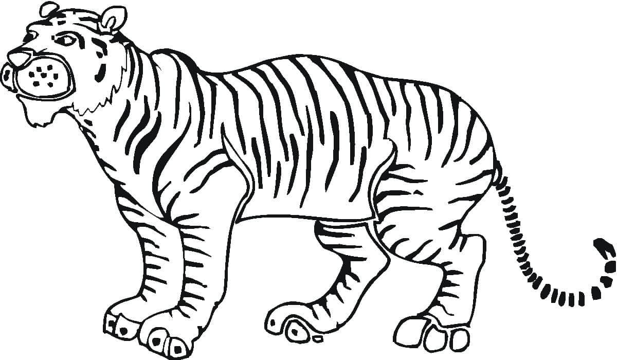Desenho de Tigre para imprimir