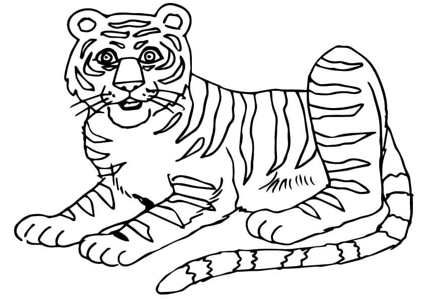 Desenho de Tigre para imprimir