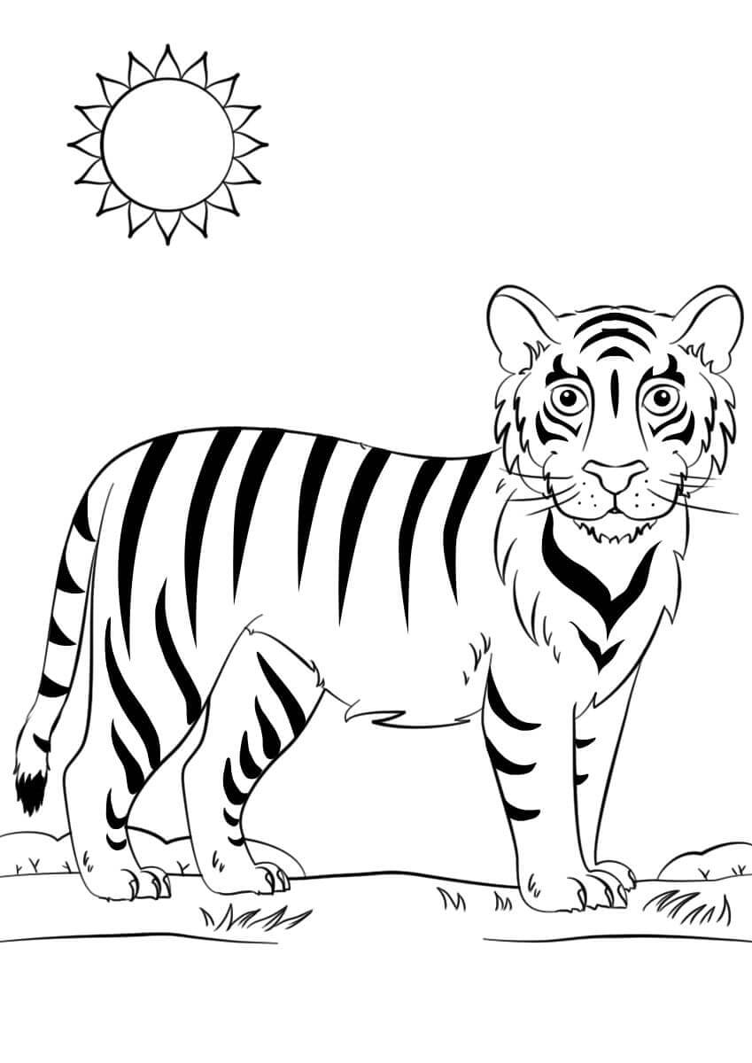 Desenho de Tigre para imprimir