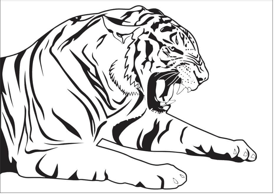 Desenho de Tigre para imprimir