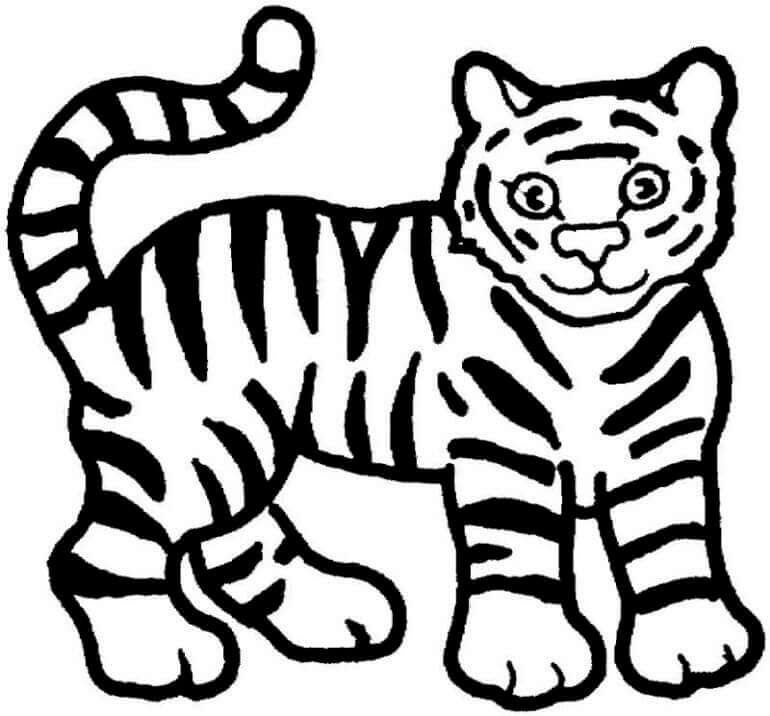 Desenho de Tigre para imprimir