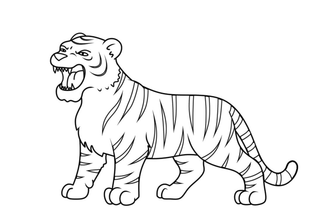 Desenho de Tigre para imprimir