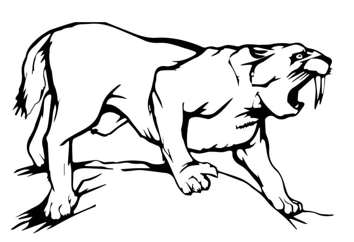 Desenho de Tigre para imprimir
