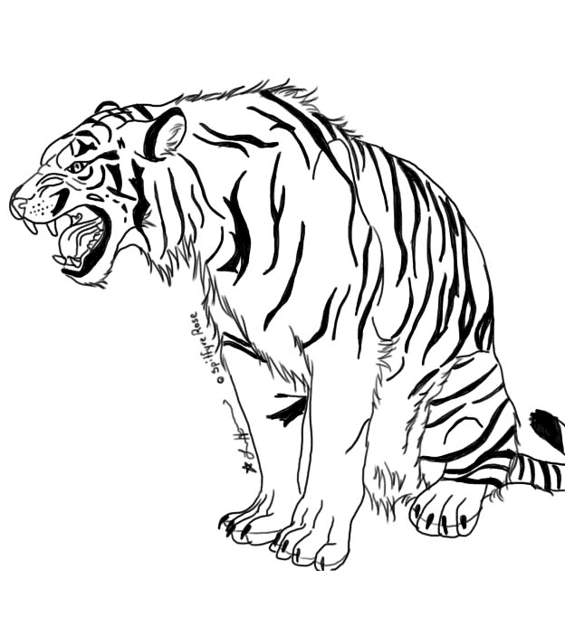 Desenho de Tigre para imprimir