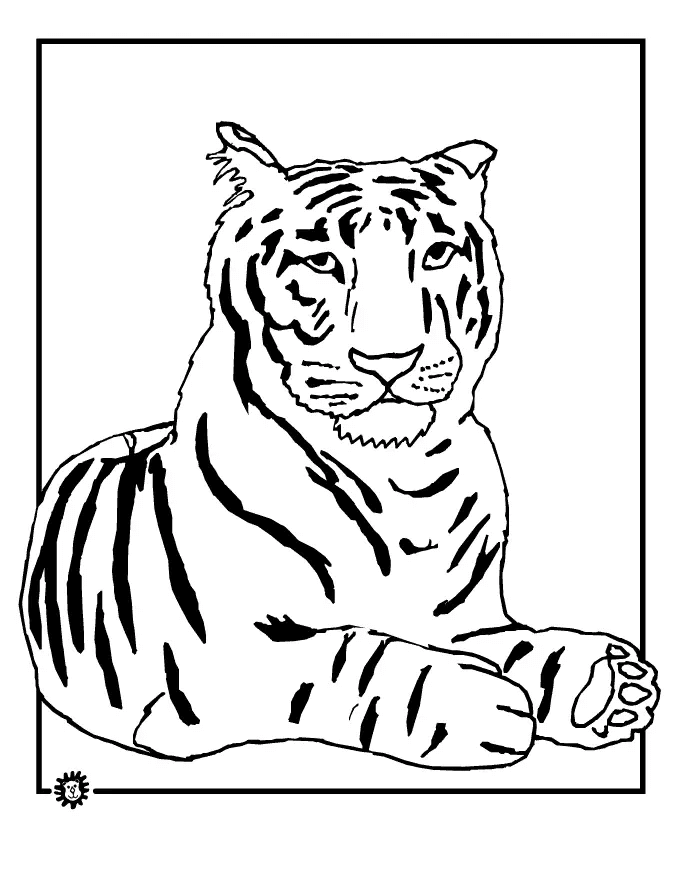Desenho de Tigre para imprimir