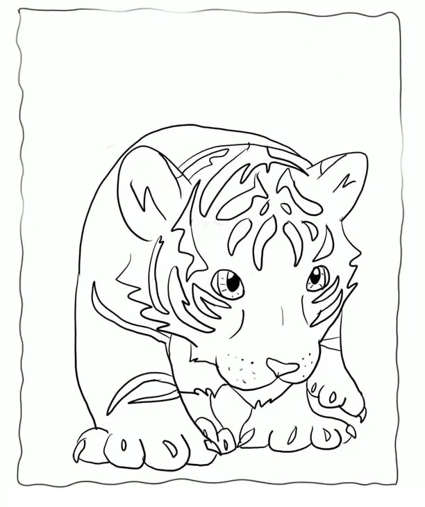 Desenho de Tigre para imprimir