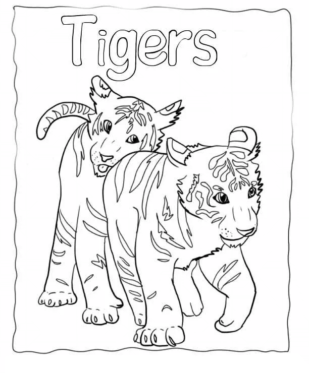 Desenho de Tigre para imprimir