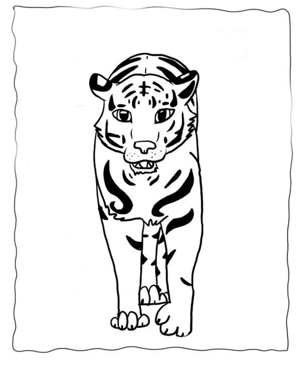 Desenho de Tigre para imprimir