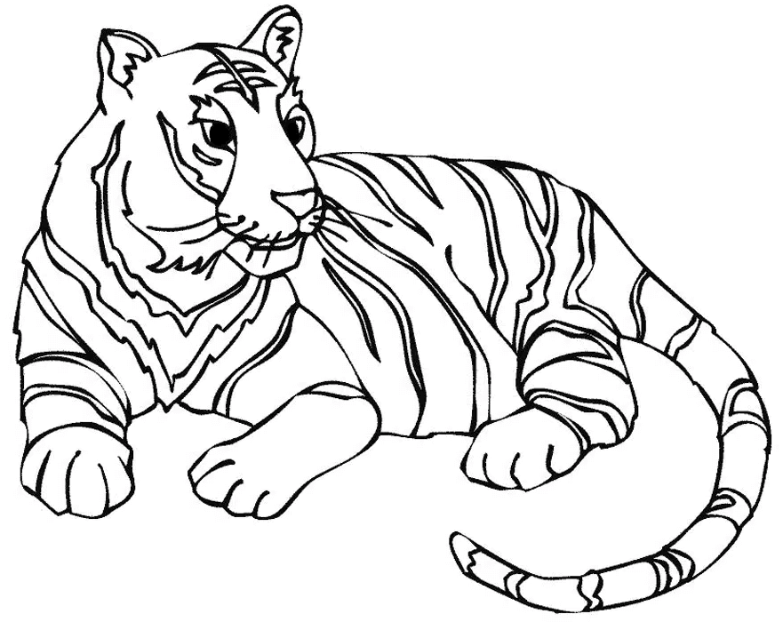 Desenho de Tigre para imprimir