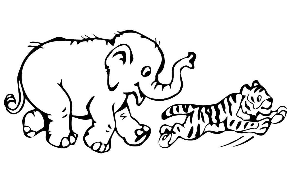 Desenho de Tigre para imprimir