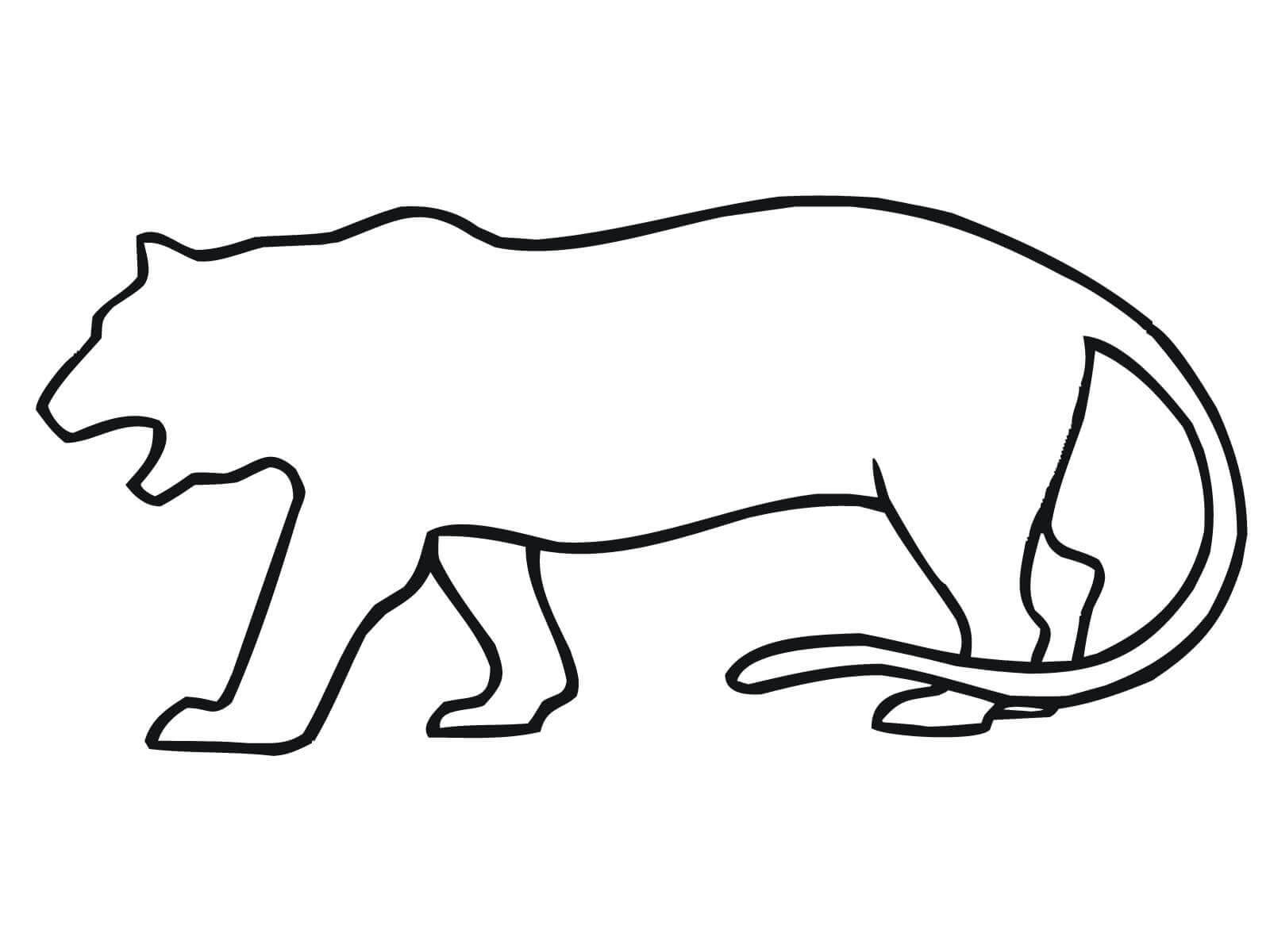 Desenho de Tigre para imprimir