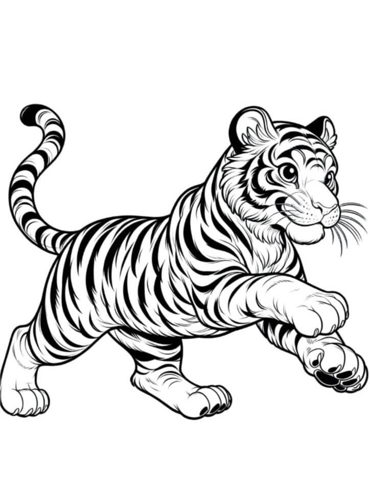 Desenho de Tigre para imprimir