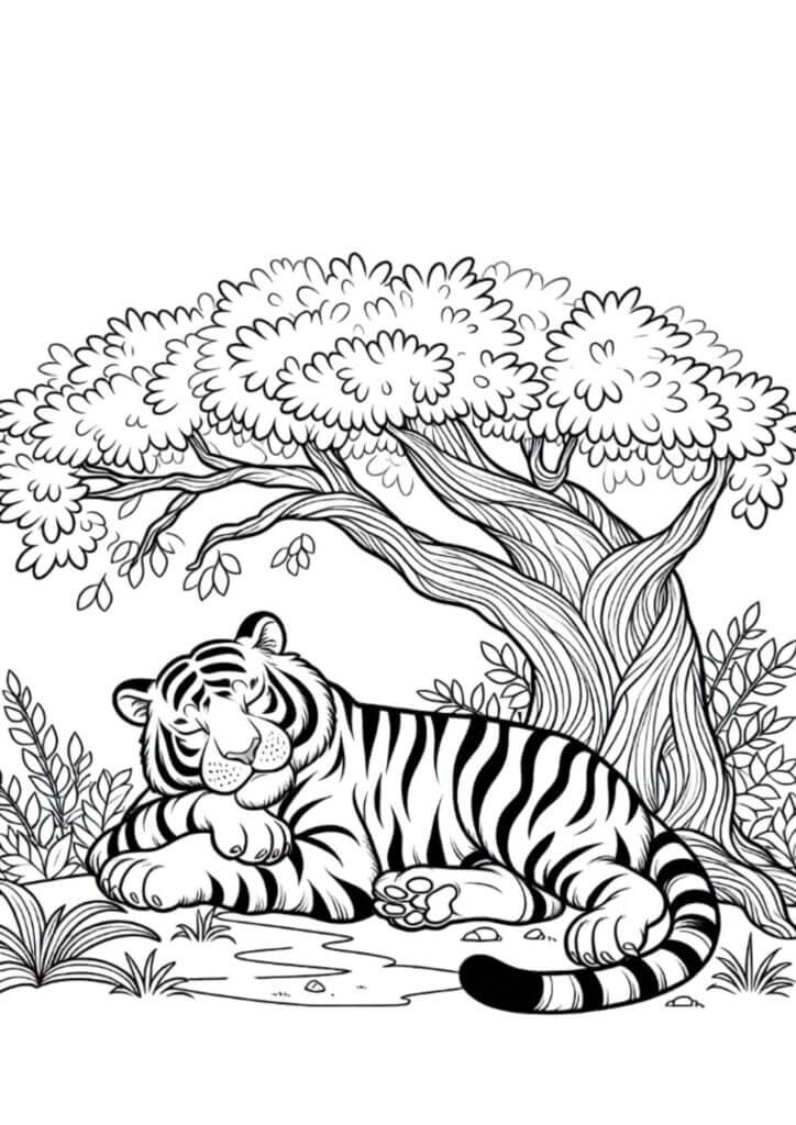 Desenho de Tigre para imprimir