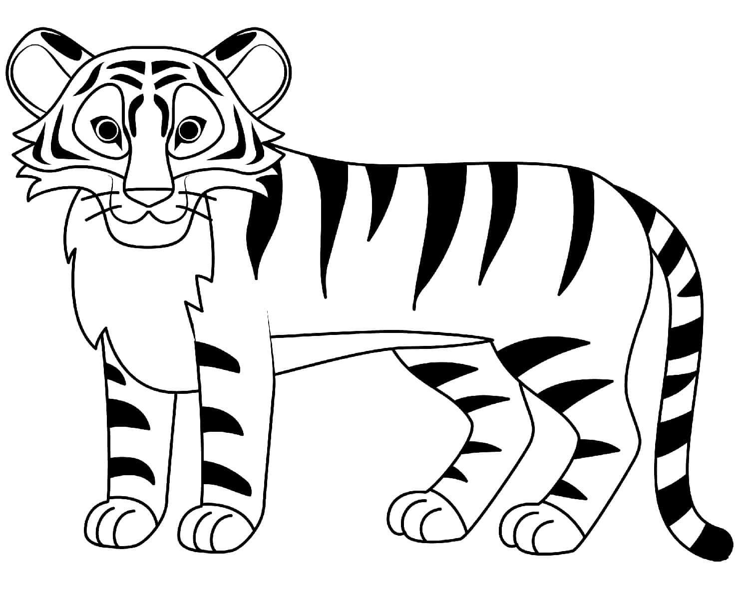 Desenho de Tigre para imprimir