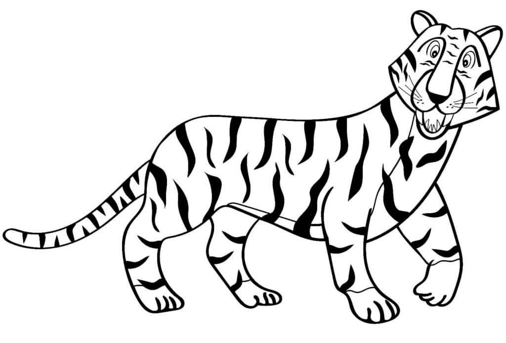 Desenho de Tigre para imprimir