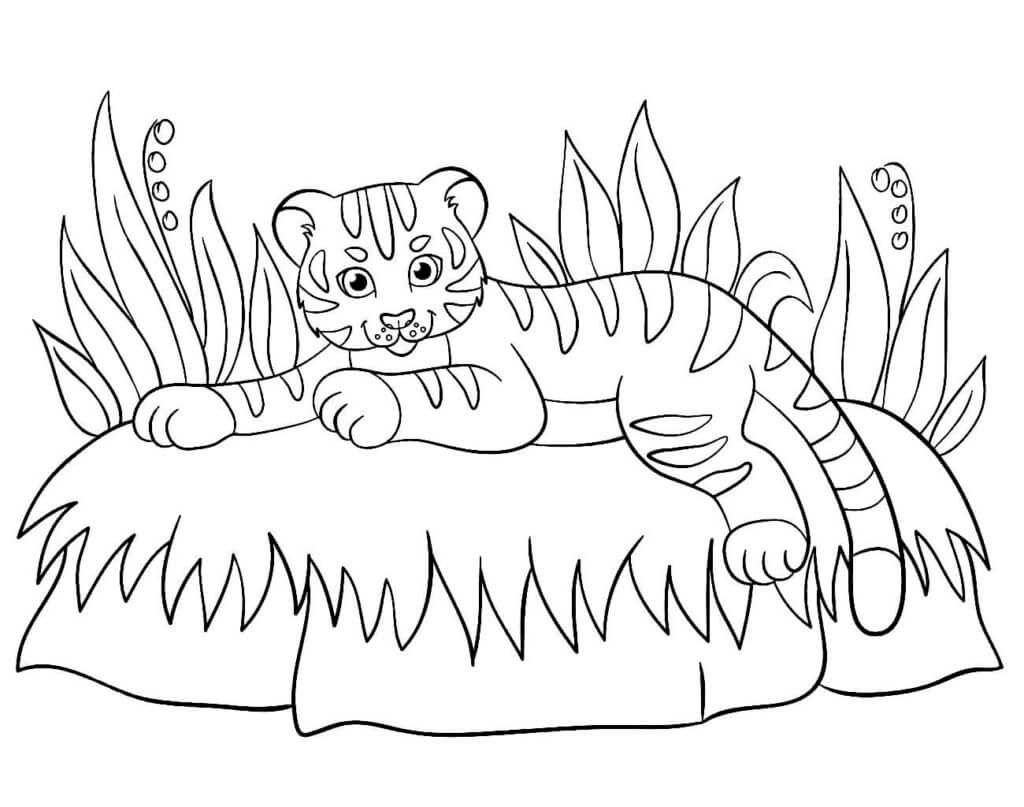 Desenho de Tigre para imprimir