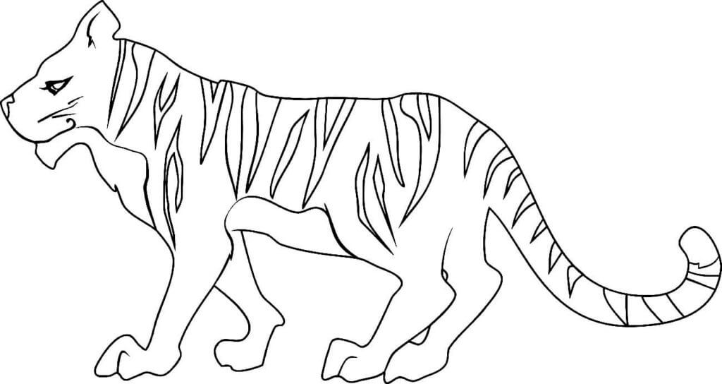 Desenho de Tigre para imprimir