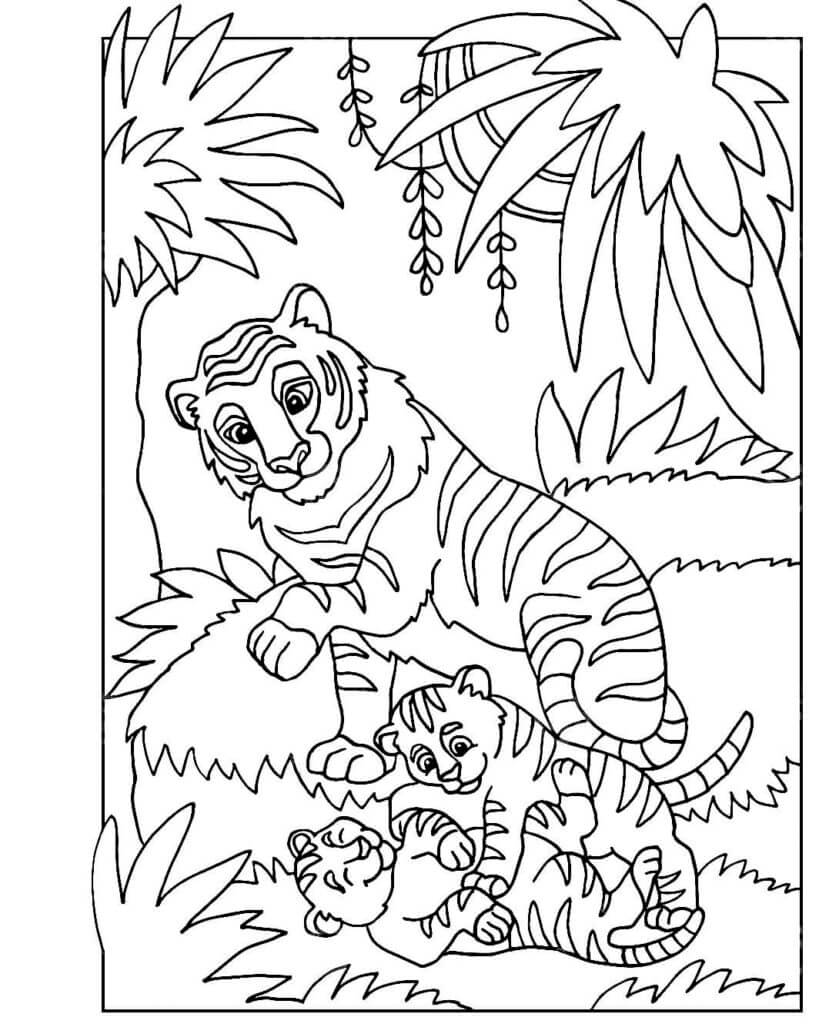 Desenho de Tigre para imprimir