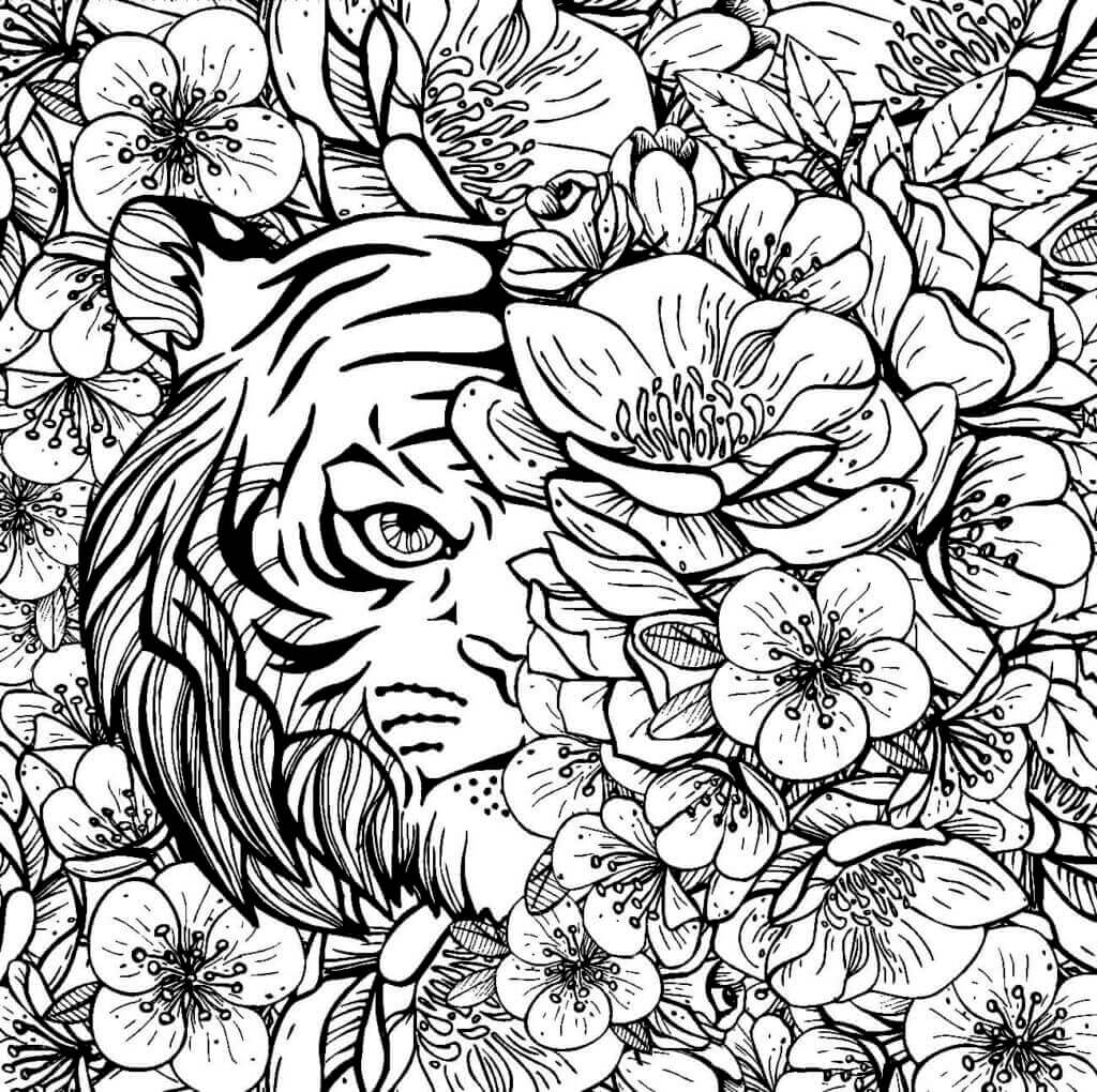 Desenho de Tigre para imprimir