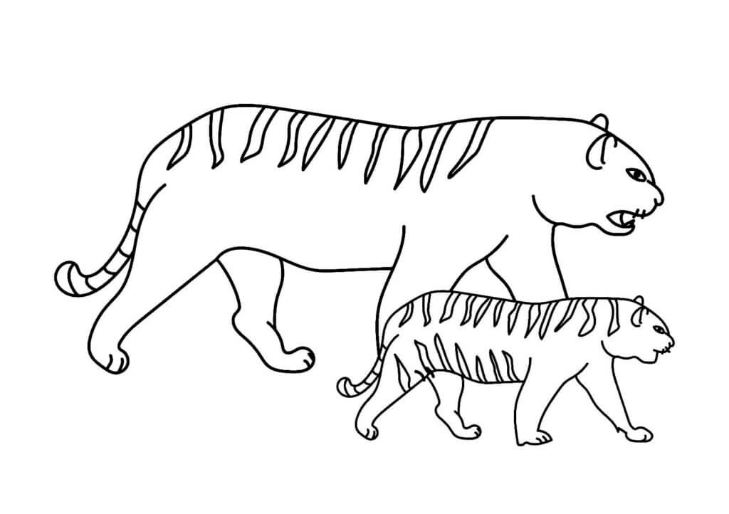 Desenho de Tigre para imprimir