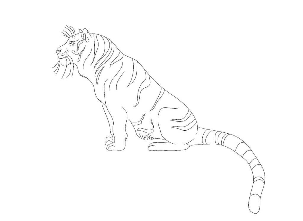 Desenho de Tigre para imprimir