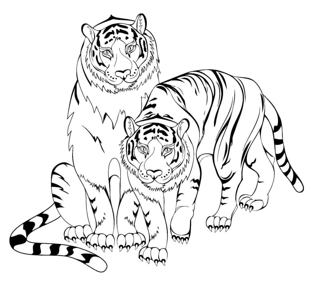 Desenho de Tigre para imprimir