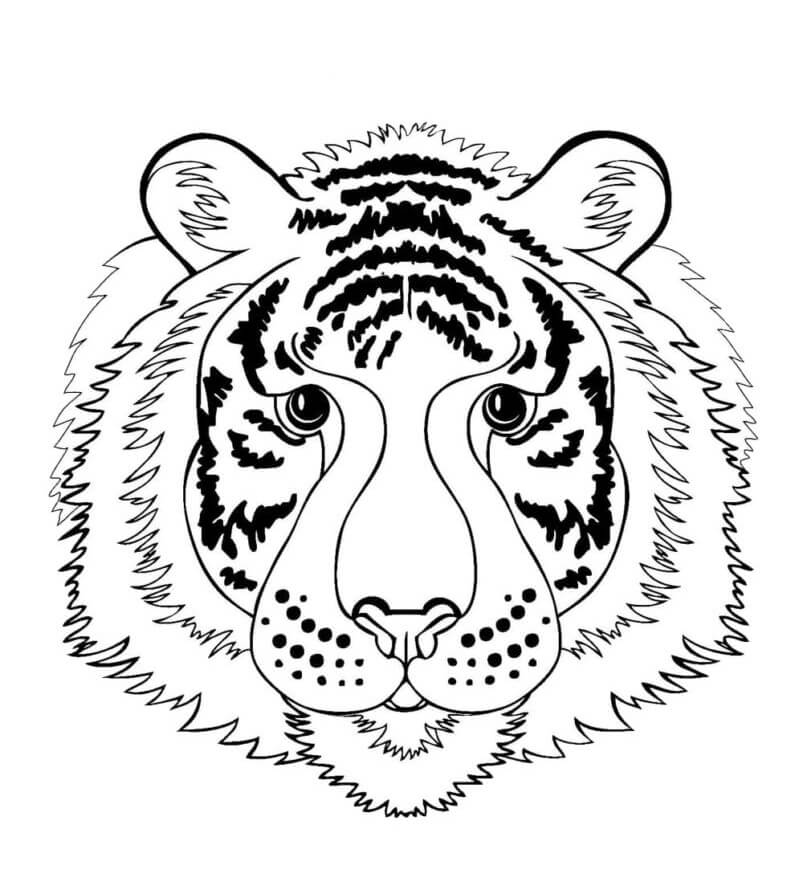 Desenho de Tigre para imprimir