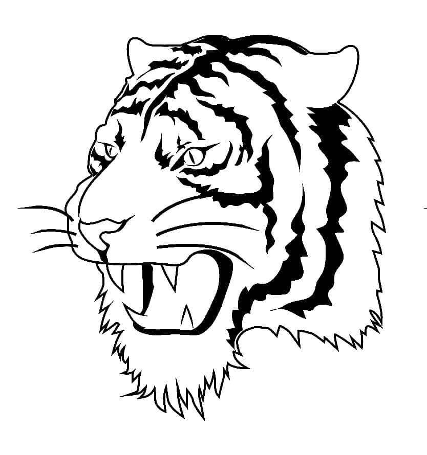 Desenho de Tigre para imprimir