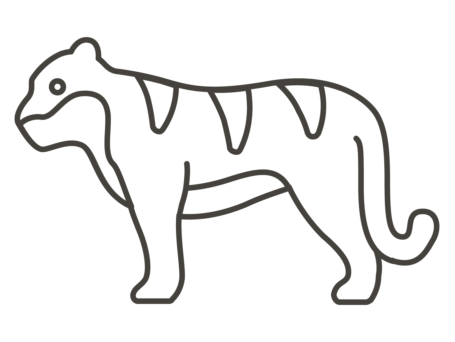 Desenho de Tigre para imprimir