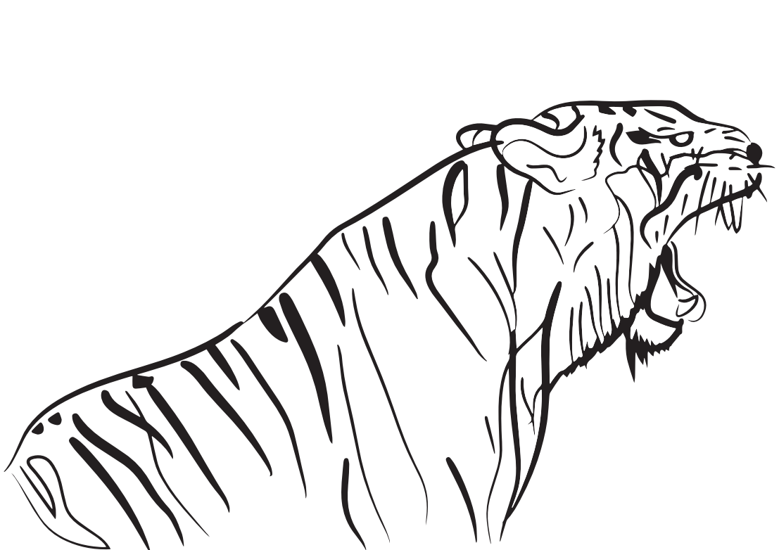 Desenho de Tigre para imprimir