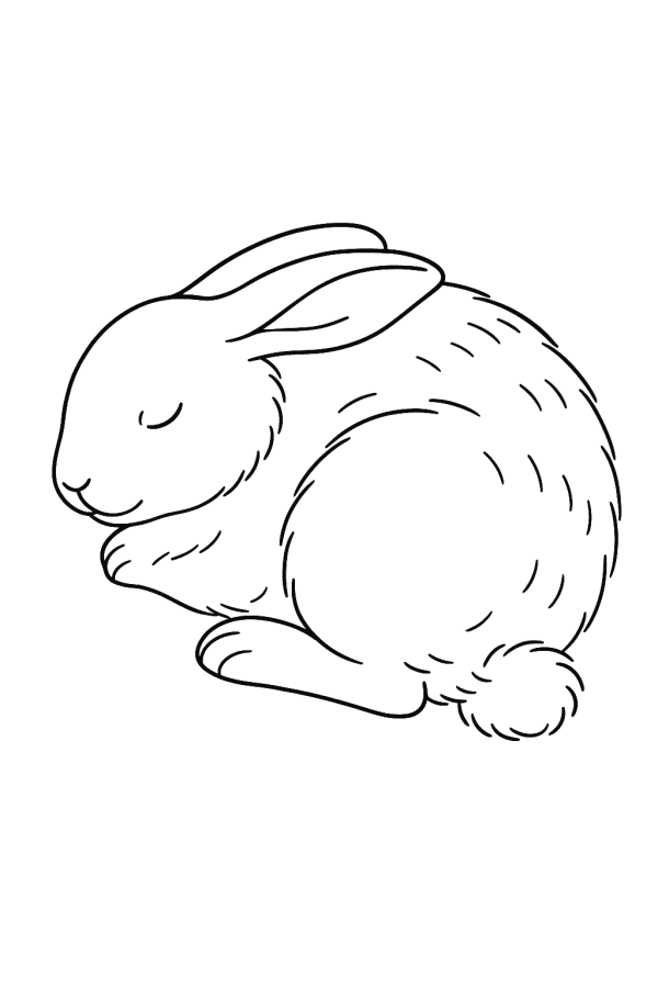 Desenho de Coelho para imprimir