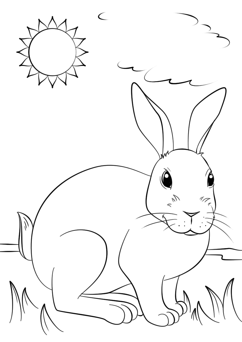 Desenho de Coelho para imprimir