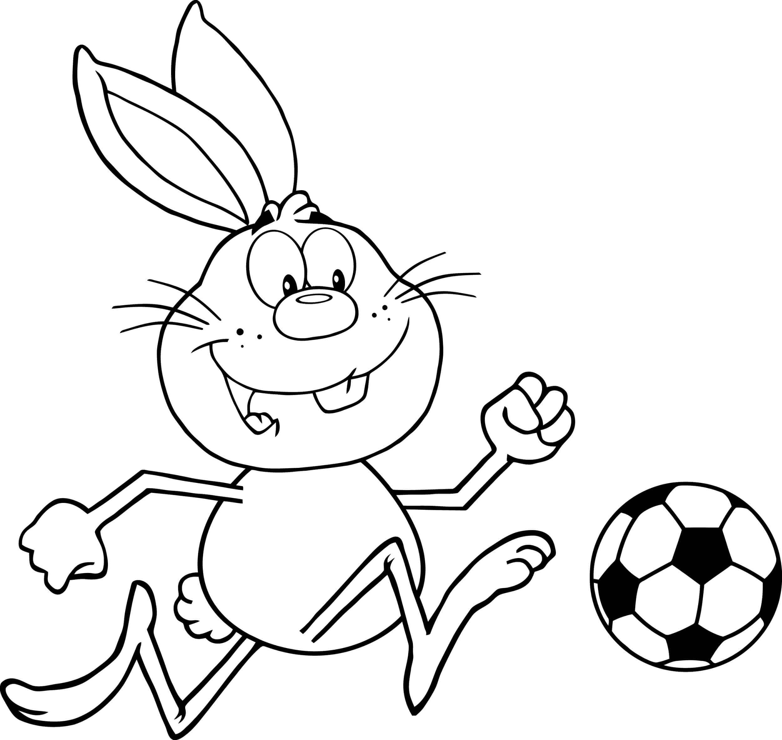 Desenho de Coelho para imprimir