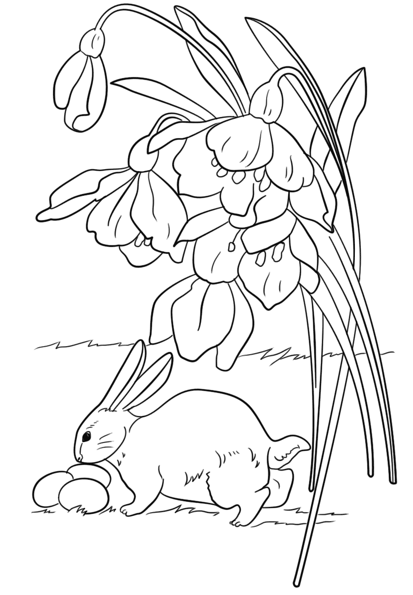 Desenho de Coelho para imprimir