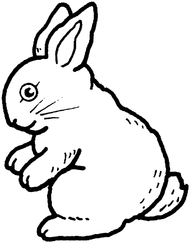 Desenho de Coelho para imprimir