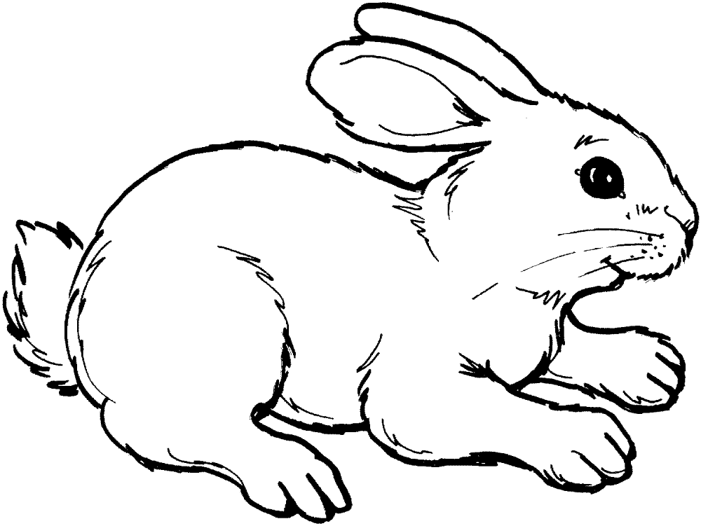 Desenho de Coelho para imprimir
