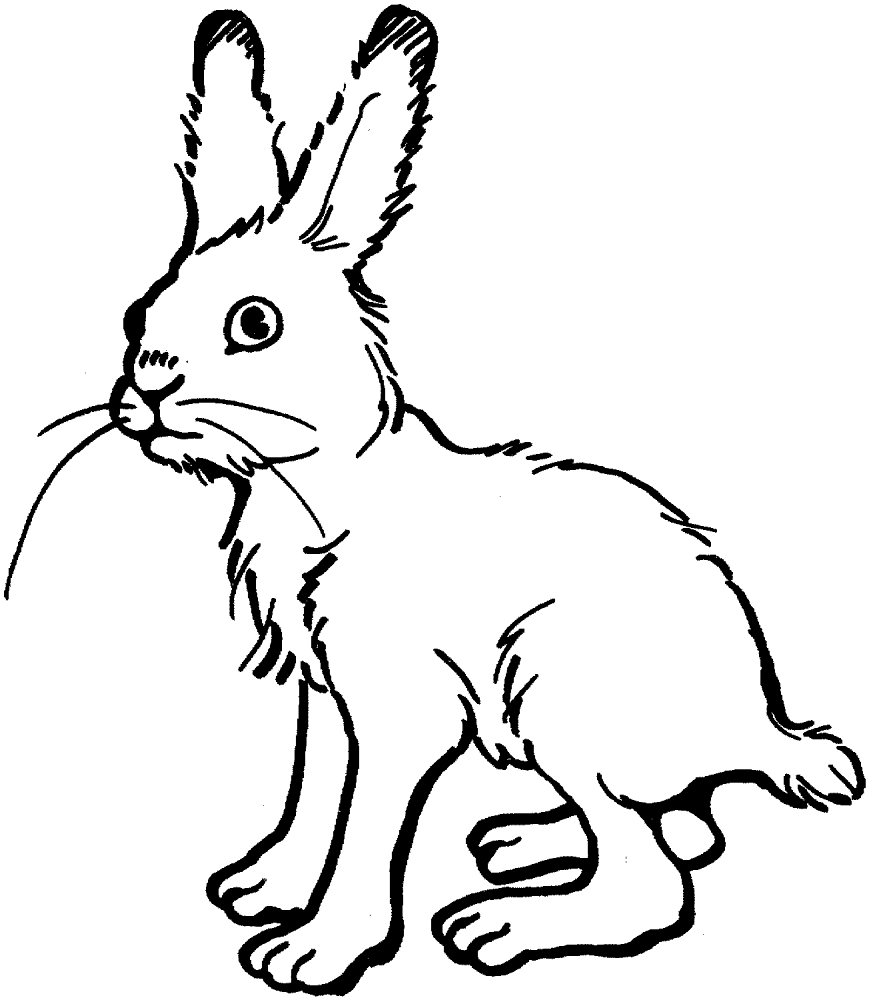 Desenho de Coelho para imprimir