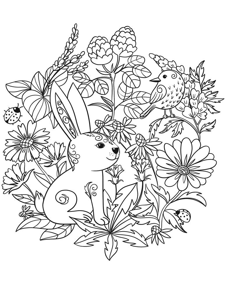 Desenho de Coelho para imprimir