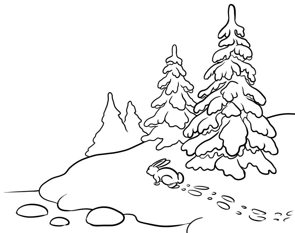 Desenho de Coelho para imprimir