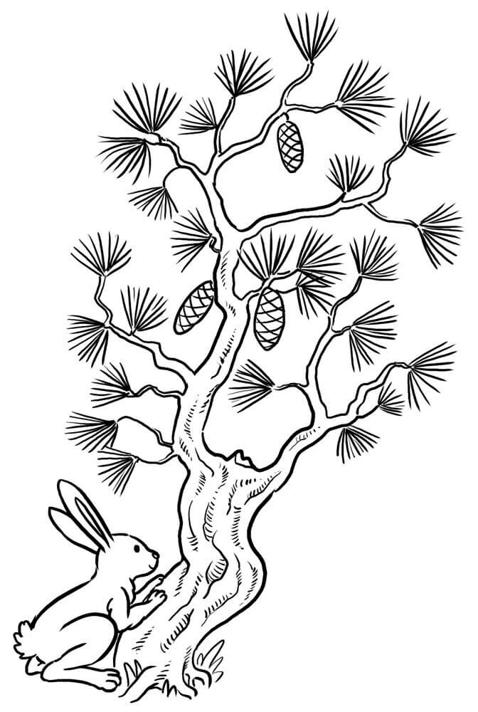 Desenho de Coelho para imprimir