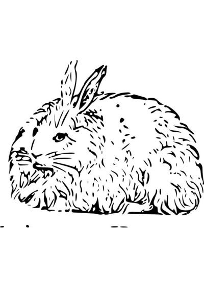 Desenho de Coelho para imprimir