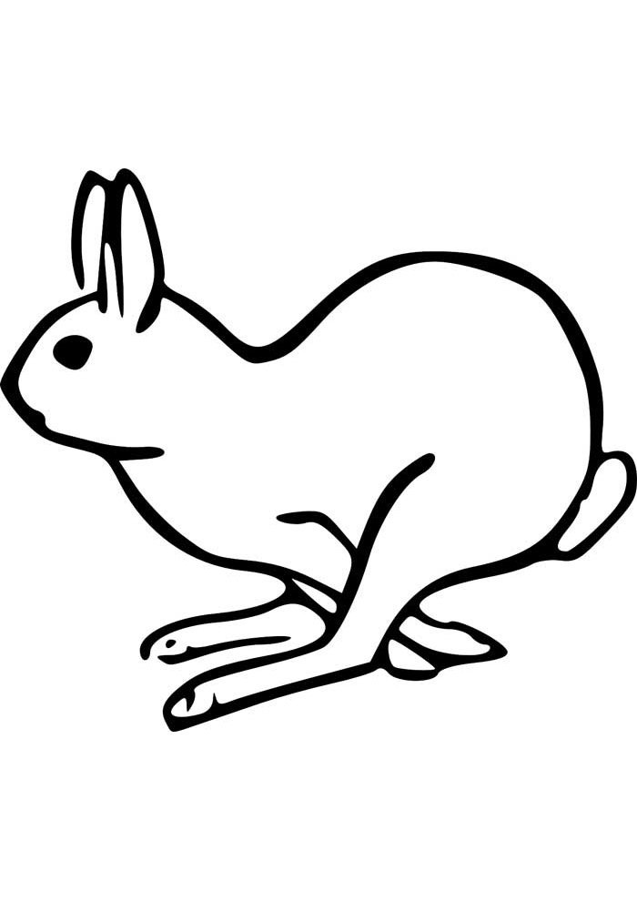 Desenho de Coelho para imprimir