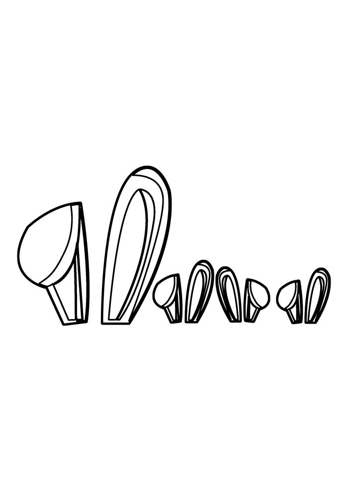 Desenho de Coelho para imprimir