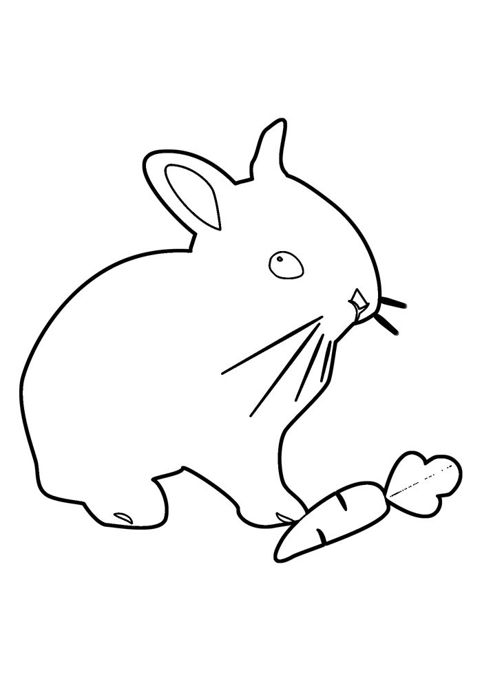Desenho de Coelho para imprimir