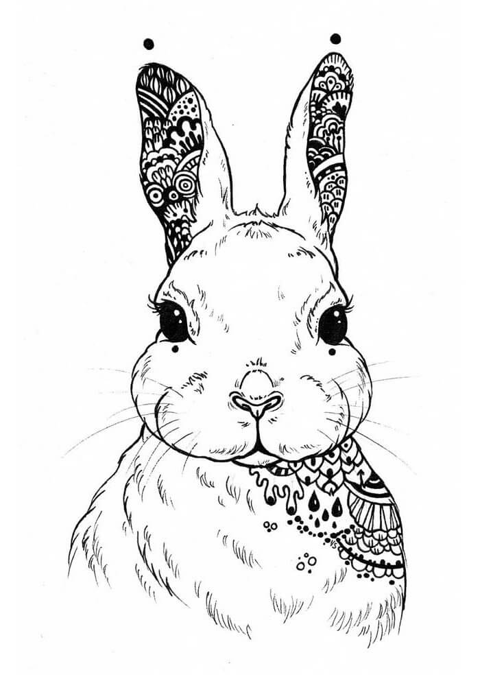 Desenho de Coelho para imprimir